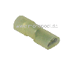 Flachsteckhülse, 6.3 x 0.8 mm, gelb Flachsteckhülse, 6.3 x 0.8 mm, gelb