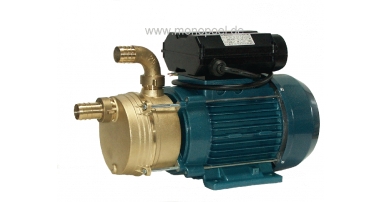 side channel pump, 220V, 3/4 inch, 32l/min