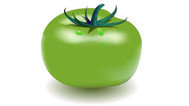 Green Tomatoes mit mnau mit grundpüreis