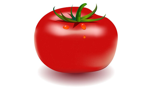 Tomatoes it hersteller